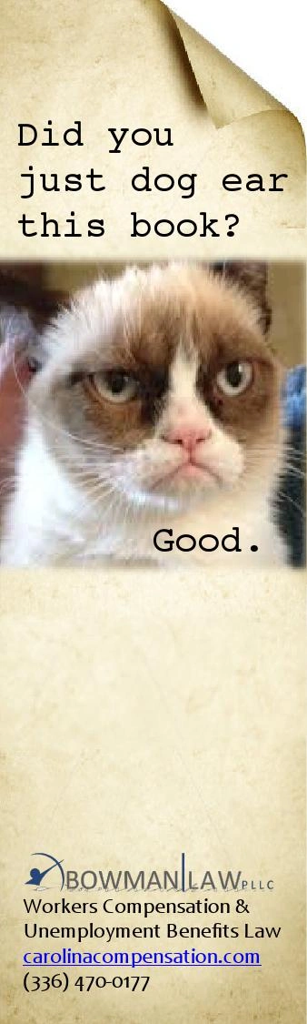 Cat Image